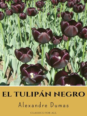 cover image of El tulipán negro